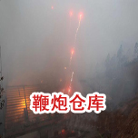 XCLP2-25T/30TƽҺÔC